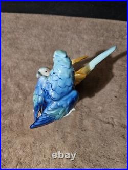 Vintage German Porcelain Apel Porzellan Colorful Double Parrot Figurine 7 5/8