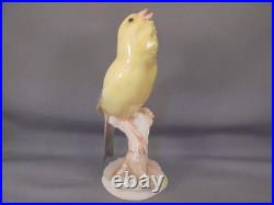 Vintage Hutschenreuther Porcelain Carl Werner Canary on Branch Bird Figure 2403