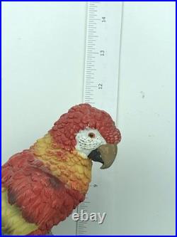 Vintage Meerchi Parrot Sculptor 12