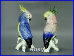 Vintage Pair Cockatoo Parrot Porcelain Figurine Karl Ens Germany 1975-1980 Decor