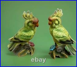Vintage Parrot Cockatoo Bird Porcelain #3062 China Two Birds