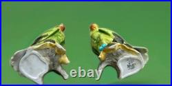 Vintage Parrot Cockatoo Bird Porcelain #3062 China Two Birds