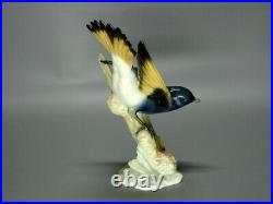 Vintage Porcelain Baltimore Oriole Bird Figure Hutschenreuther Germany Sculpture