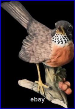 Vintage Retired Kaiser German Made Porcelain Bird Collection- Robin Statue