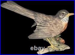 Vintage Retired Kaiser German Made Porcelain Bird Collection- Robin Statue