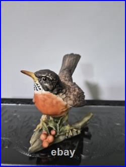 Vintage Retired Kaiser German Made Porcelain Bird Collection- Robin Statue