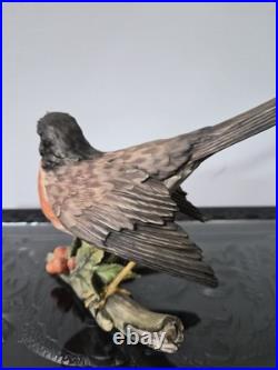 Vintage Retired Kaiser German Made Porcelain Bird Collection- Robin Statue