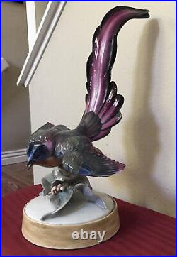 Vintage Rosenthal Kuntstabteilung Porcelain HUGE 20 Bird Statue Purple Tail