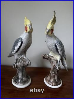 Vintage Studio Australia Porcelain Cockatiel Bird Figurines Pair Large 16