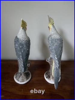 Vintage Studio Australia Porcelain Cockatiel Bird Figurines Pair Large 16
