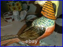 Vintage signed Karl Tutter golden pheasant, 15 in long 9 in tall