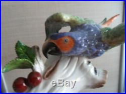 Vintage statue porcelaine saxe allemagne N couronné perroquet parrot bird ara