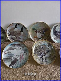 Vtg. (10) Franklin Porcelain In Limoges Water Birds Of The World By Basil Ede