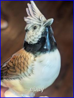 Vtg Karl Ens Porcelain Bird Figurine Crested Titmouse & Coal Tit Blue Mark LG 7