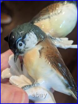 Vtg Karl Ens Porcelain Bird Figurine Crested Titmouse & Coal Tit Blue Mark LG 7