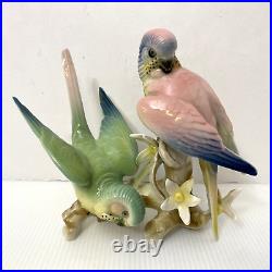 Wilhelm Rittirsch Dresden Porcelain Parakeet Parrot Bird Figurine Not Karl Ens