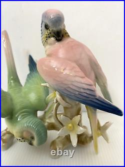 Wilhelm Rittirsch Dresden Porcelain Parakeet Parrot Bird Figurine Not Karl Ens