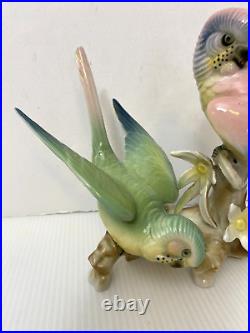 Wilhelm Rittirsch Dresden Porcelain Parakeet Parrot Bird Figurine Not Karl Ens