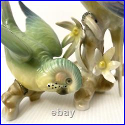 Wilhelm Rittirsch Dresden Porcelain Parakeet Parrot Bird Figurine Not Karl Ens