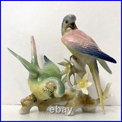 Wilhelm Rittirsch Dresden Porcelain Parakeet Parrot Bird Figurine Not Karl Ens