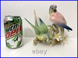 Wilhelm Rittirsch Dresden Porcelain Parakeet Parrot Bird Figurine Not Karl Ens