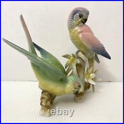 Wilhelm Rittirsch Dresden Porcelain Parakeet Parrot Bird Figurine Not Karl Ens