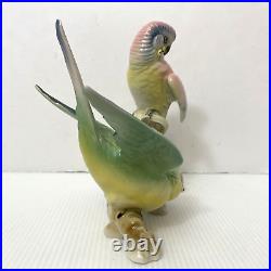 Wilhelm Rittirsch Dresden Porcelain Parakeet Parrot Bird Figurine Not Karl Ens