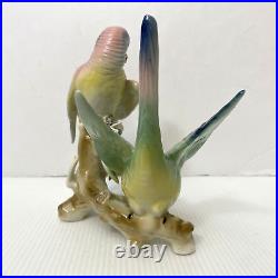 Wilhelm Rittirsch Dresden Porcelain Parakeet Parrot Bird Figurine Not Karl Ens