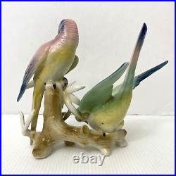 Wilhelm Rittirsch Dresden Porcelain Parakeet Parrot Bird Figurine Not Karl Ens