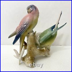 Wilhelm Rittirsch Dresden Porcelain Parakeet Parrot Bird Figurine Not Karl Ens