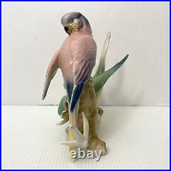 Wilhelm Rittirsch Dresden Porcelain Parakeet Parrot Bird Figurine Not Karl Ens