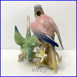 Wilhelm Rittirsch Dresden Porcelain Parakeet Parrot Bird Figurine Not Karl Ens