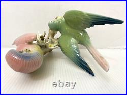 Wilhelm Rittirsch Dresden Porcelain Parakeet Parrot Bird Figurine Not Karl Ens