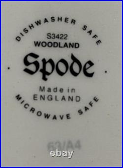 Woodland Spode Bread Salad Plates & Flat Soup Cup Lapwing Pheasant Pintail Duck